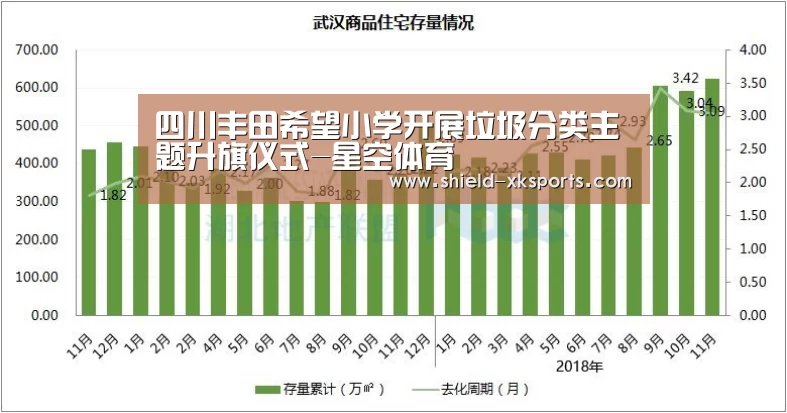 四川丰田希望小学开展垃圾分类主题升旗仪式-星空体育(图2) 星空体育app