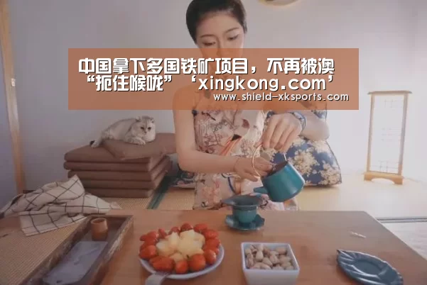 中国拿下多国铁矿项目,不再被澳“扼住喉咙”‘xingkong.com’(图2) 星空体育app